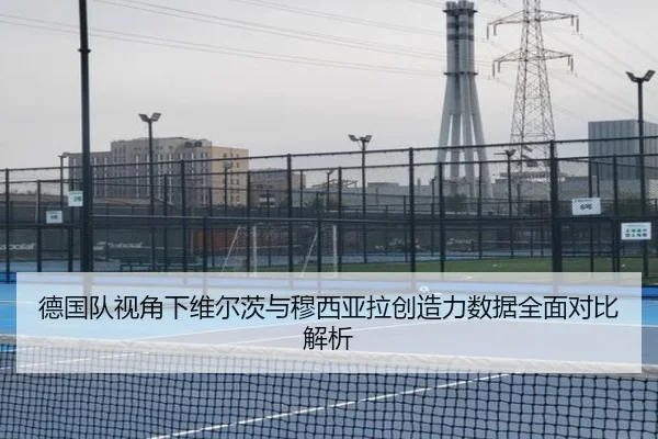 德国队视角下维尔茨与穆西亚拉创造力数据全面对比解析